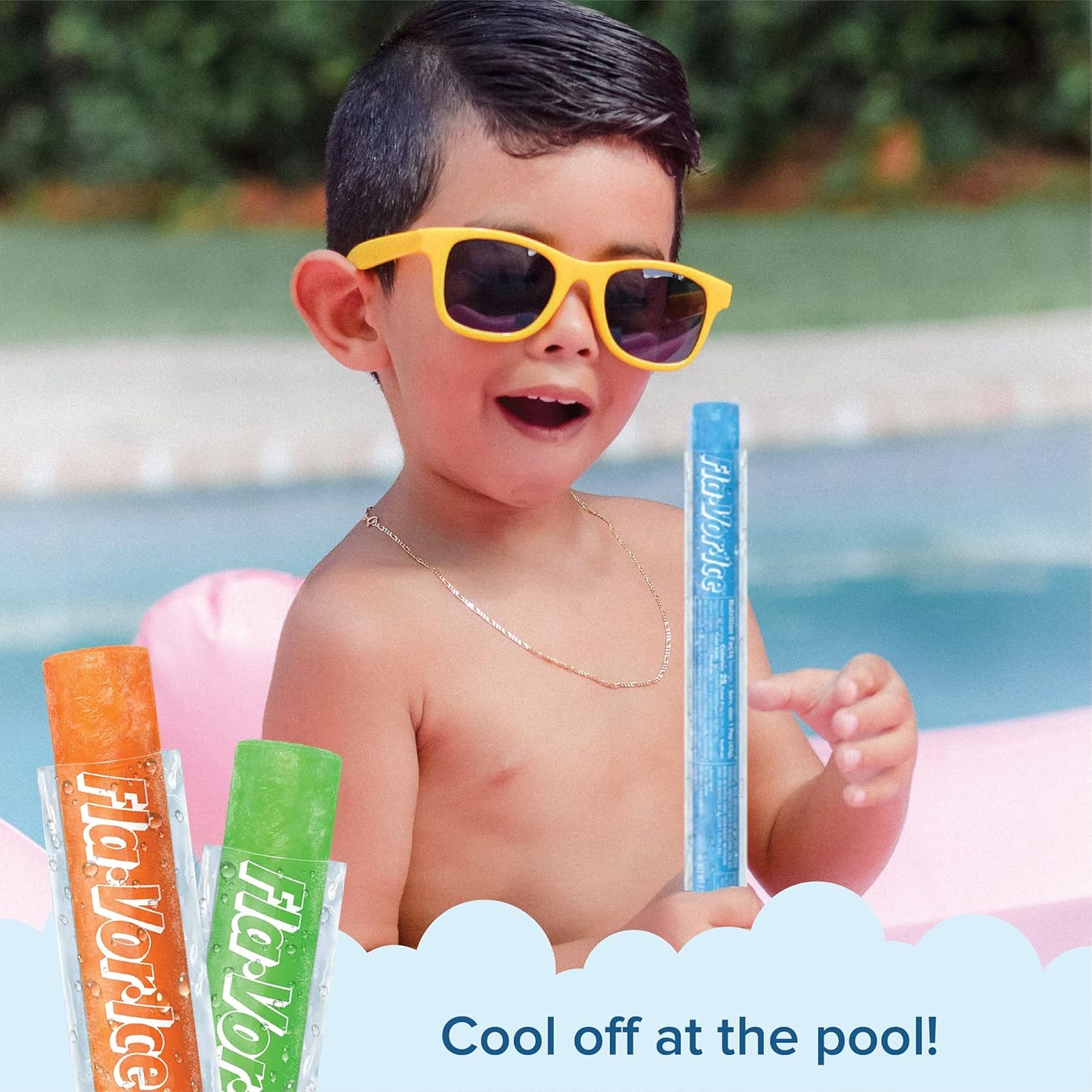 Fla-Vor-Ice Popsicle Variety Pack